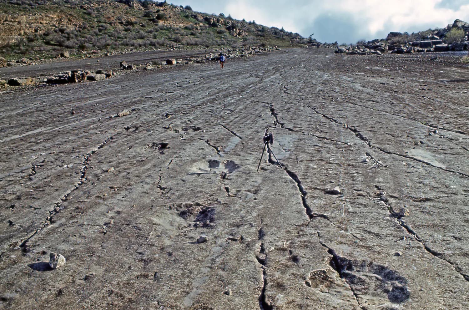 dino-plateau